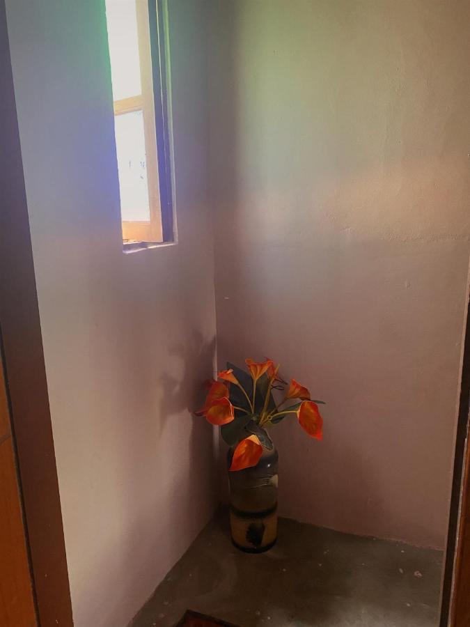 Apartamento Rustico Lejlighed Cabo Frio Eksteriør billede